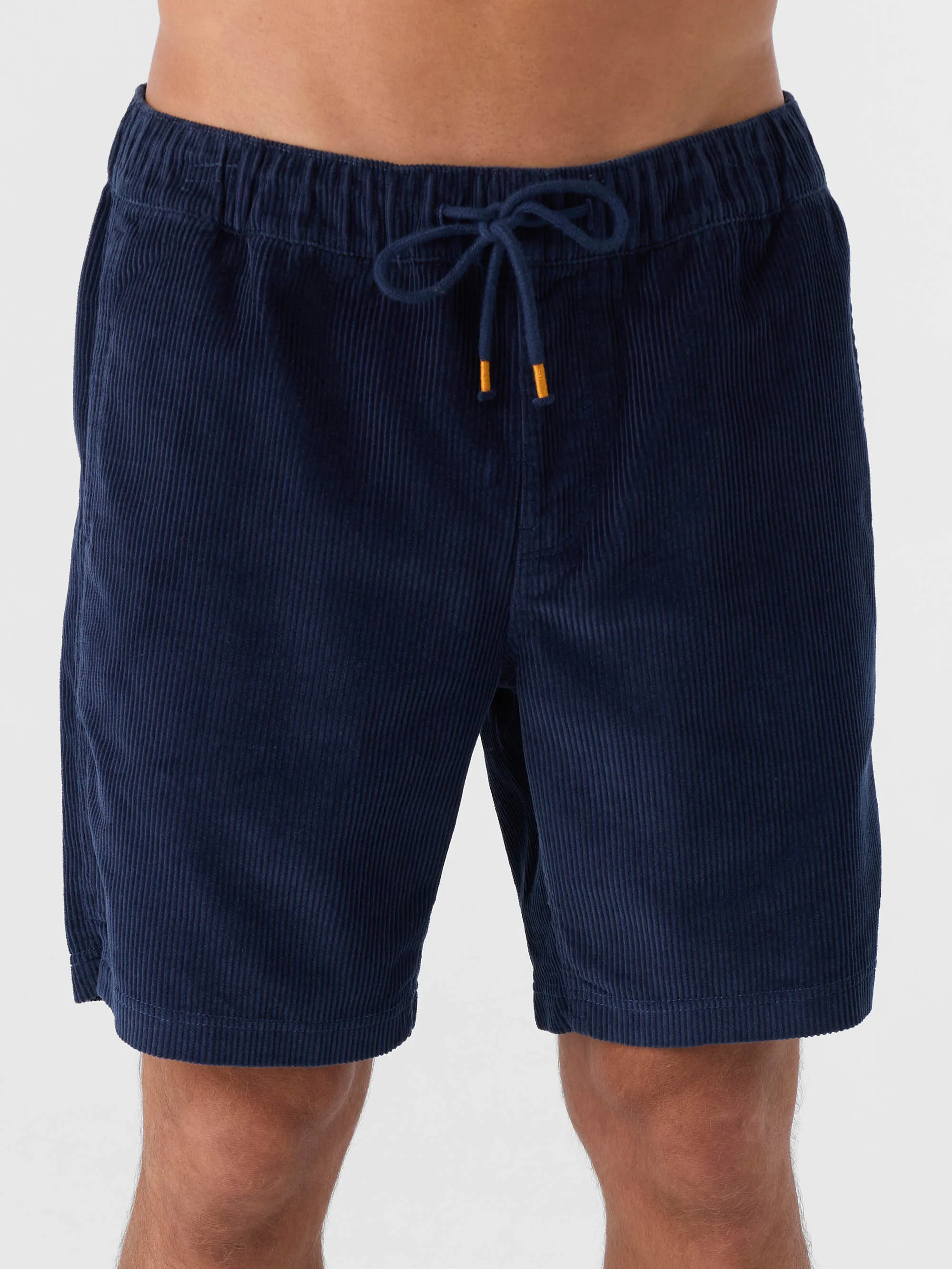 Picnic 18" Shorts