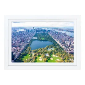 "Central Park" Mini Framed Print by Gray Malin