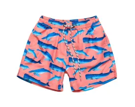 UPF 50  Swim Shorts - Whales